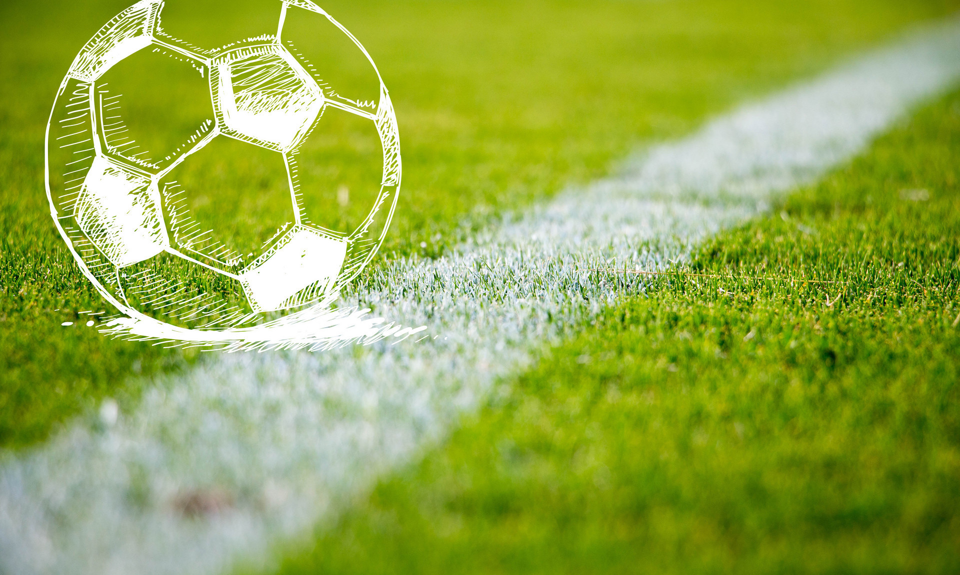 决定止损的 决定止损的