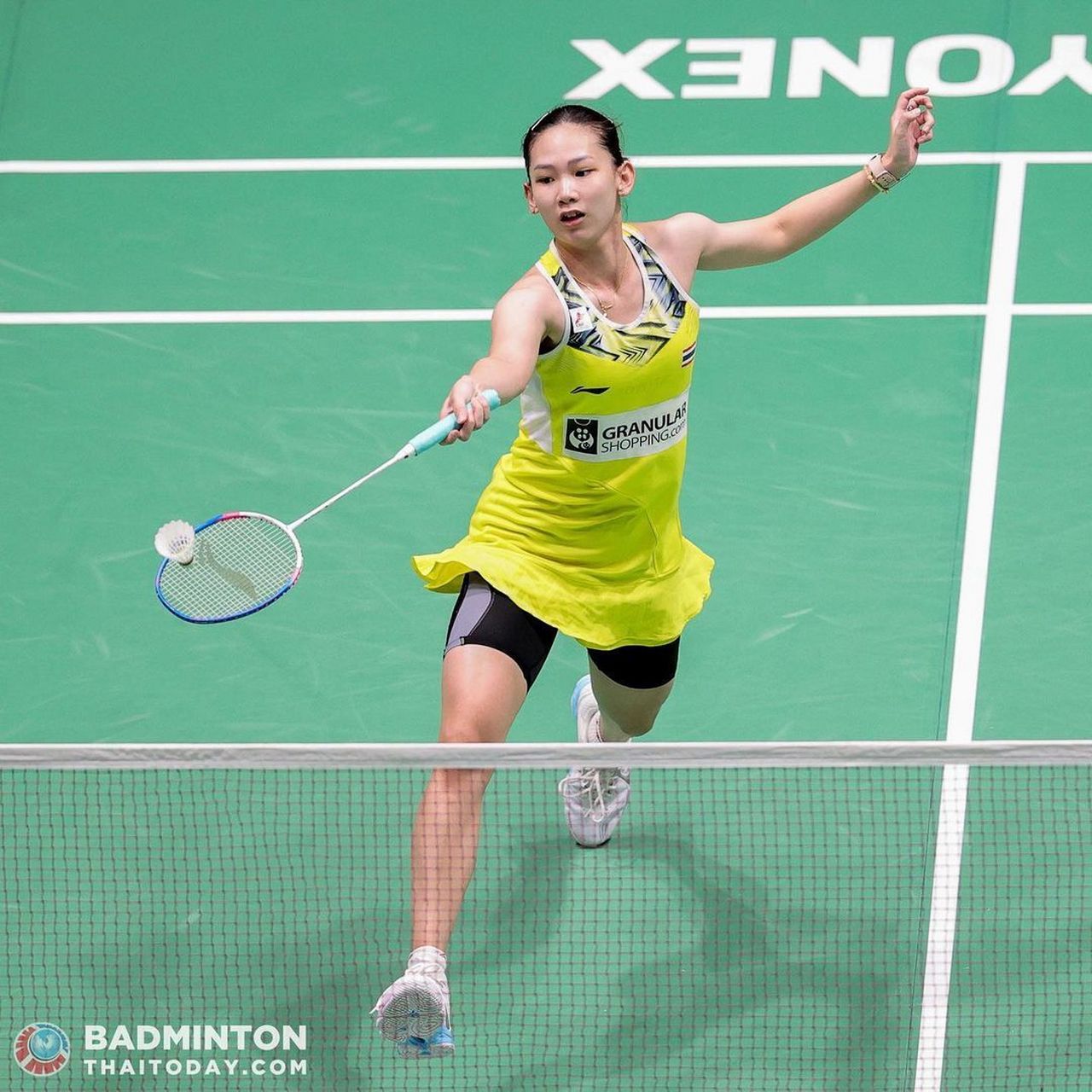 引发了不少 引发了不少