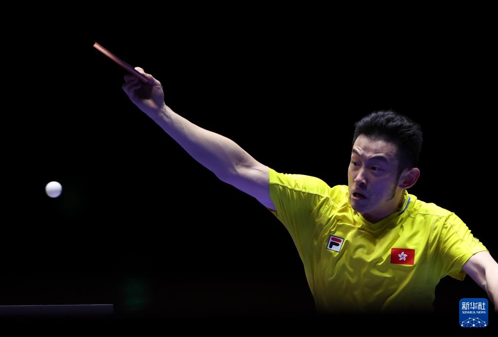 中发表观点 中发表观点